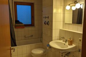 a bathroom with a sink and a toilet and a mirror at Helle Terrassenwohnung am Waldrand in Nürtingen