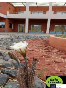 Foto sihtkohas Villa Unión asuva majutusasutuse Hotel Pircas Negras galeriist