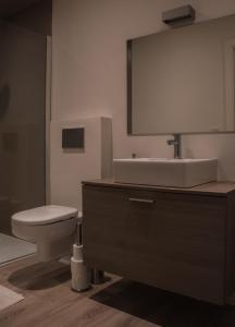 a bathroom with a sink and a toilet and a mirror at B&B Den Boomgaard Moorsel in Moorsel