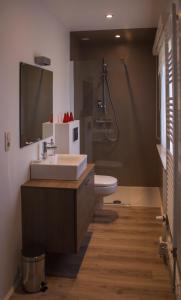 een badkamer met een wastafel, een toilet en een douche bij B&B Den Boomgaard Moorsel in Moorsel