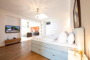 TV a/nebo společenská místnost v ubytování Alpen Loft