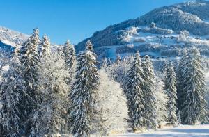 シュルンスにあるFerienwohnung Bitschnauの山の雪に覆われた木々