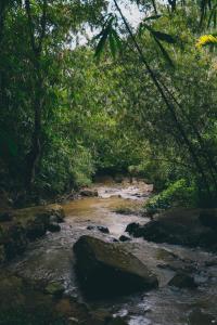 Gallery image of Bamboo Creek Resort in Vaduvanchal