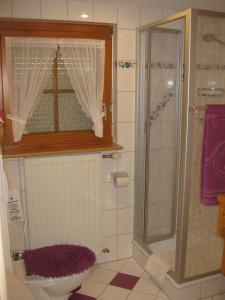 La salle de bains est pourvue d'une douche, de toilettes et d'une fenêtre. dans l'établissement Haus am Kreuzbühl, à Dachsberg im Schwarzwald