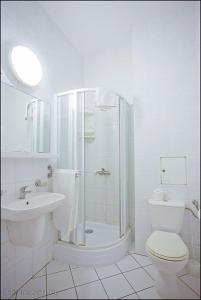 グダニスクにあるDom Sonataの白いバスルーム(シャワー、トイレ付)