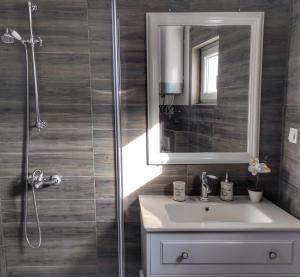 a bathroom with a sink and a mirror and a shower at Feel Dugi Otok - Apartment Sofia in Luka