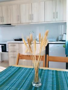 A kitchen or kitchenette at Banos Apartments and swimming pool