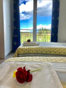 a red rose on a bed in a room with a window at Banos Apartments and swimming pool in Roda