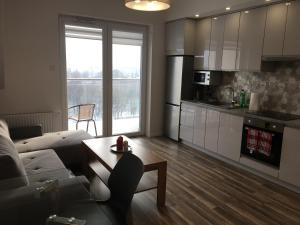 eine Küche und ein Wohnzimmer mit einem Sofa und einem Tisch in der Unterkunft apartament in Rzeszów