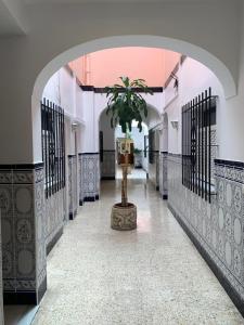 Fotografie z fotogalerie ubytování Sanvi Xerez Centro v destinaci Jerez de la Frontera