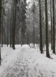 Le refuge Ardennais talvel