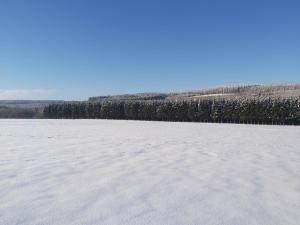 Loodusmaastik of the country house lähedal