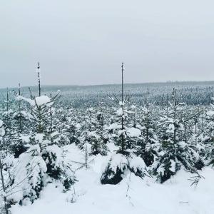Le refuge Ardennais talvel