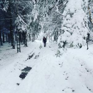 Le refuge Ardennais talvel
