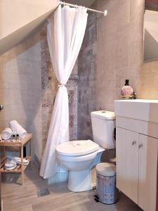 a bathroom with a toilet and a shower curtain at Filia's Traditional Haouse, old town in Heraklion in Heraklio Town