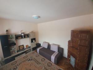 - une chambre avec 2 lits et une étagère dans l'établissement Casa Jeni, à Humuleşti