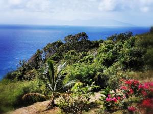 a view of the ocean from a hill with flowers at Habitation Noelesse in Beauregard