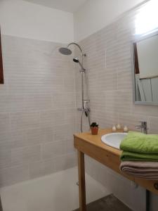 a bathroom with a sink and a shower at Les Chalets de la Garenne in La Ferté-Beauharnais