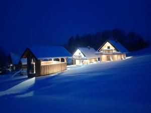 a group of houses in the snow at night at DOMKI STROME ZACISZE in Niedzica Zamek +15 photos