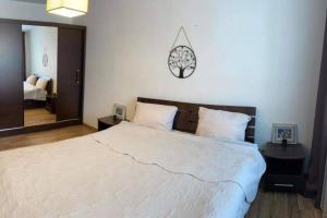 a bedroom with a large bed and a mirror at Apartamentai Draugystes Street in Šiauliai