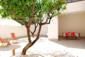サン・ヴィート・ロ・カーポにあるBluvacanze Appartamento La Sala Immacolataの中庭の木