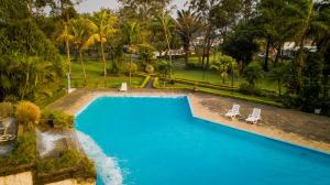 an overhead view of a swimming pool with chairs and palm trees at Lotus Suite in Santa Cruz de la Sierra