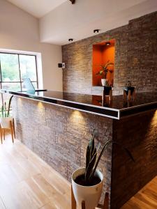 a bar with a potted plant in a room at Hotel Berlin in Villa General Belgrano