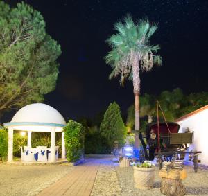 a palm tree and a gazebo at night at Residence Regina in Marina di Gioiosa Ionica