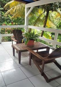 een houten bank en een potplant op een veranda bij Maison Alpinia in Le Moule