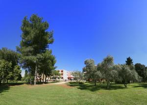 Zahrada ubytování Hotel Donat - All Inclusive