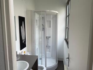 a bathroom with a shower and a sink at centre Pau proche Chateau et gare 33 m2 in Pau