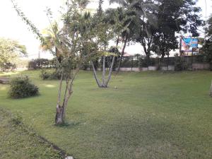 Zahrada ubytování Appartement Centre Guadeloupe, accessible et proche