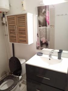 uma casa de banho com um WC e um lavatório em Appartement Centre Guadeloupe, accessible et proche em Les Abymes