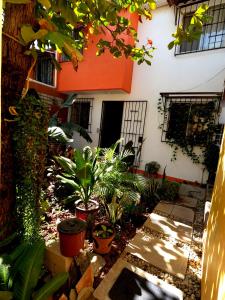 波多埃斯康迪的住宿－Casa Lomas del Marinero Internet Starlink SIN GARAJE，建筑前种有植物的庭院