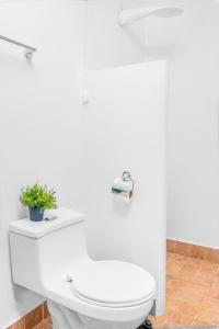a bathroom with a toilet with a plant on it at Hotel Boutique Platanal in Portoviejo