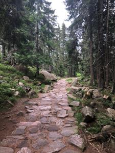 Príroda v okolí apartmánu
