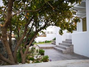 Vườn quanh Summer Villa +13 ảnh
