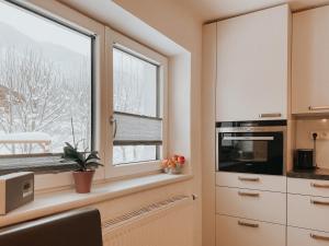 アーヘンキルヒにあるApartment Linaの窓と電子レンジ付きのキッチンが備わります。