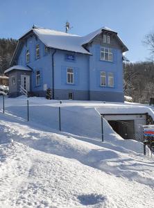 BLUE PENSiON v zimě