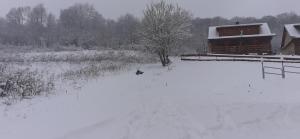 Imagen de la galería de Osada Bóbrka nad Soliną, en Solina 59 fotos más