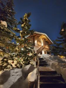 Un arbre de Noël dans la neige devant une maison dans l'établissement Nix apartment, à Livigno