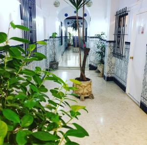 Fotografie z fotogalerie ubytování Sanvi Xerez Centro v destinaci Jerez de la Frontera