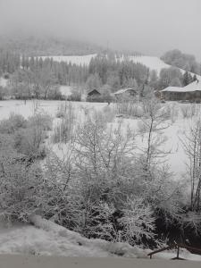 un campo cubierto de nieve con árboles y casas en Le rossane, en Aillon-le-Jeune