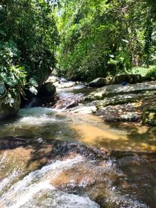 a stream in the middle of a river with trees at Hostel Raio de Fogo in Paraty