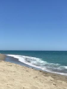 une plage de sable avec l'océan en arrière-plan dans l'établissement Front de mer 4P Marina Piscine Parking Commerces, à Saint Cyprien Plage