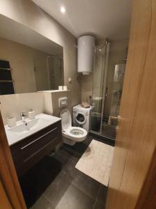 Un baño con inodoro, lavabo y ducha. en Vila Irina Kopaonik - Apartman IN, en Kopaonik