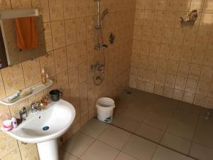 een badkamer met een wastafel en een douche bij Irini's apartment in Cotonou