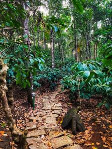 Gallery image of Bamboo Creek Resort in Vaduvanchal