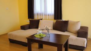 Gallery image of Вила Делфин - Villa Delfin in Bŭlgarevo