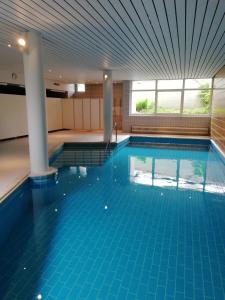 a large swimming pool with blue tiles in a building at FeWo Segelwind in Bodman-Ludwigshafen